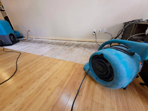 Professional Sewage Cleanup technician working in Redfield, IA